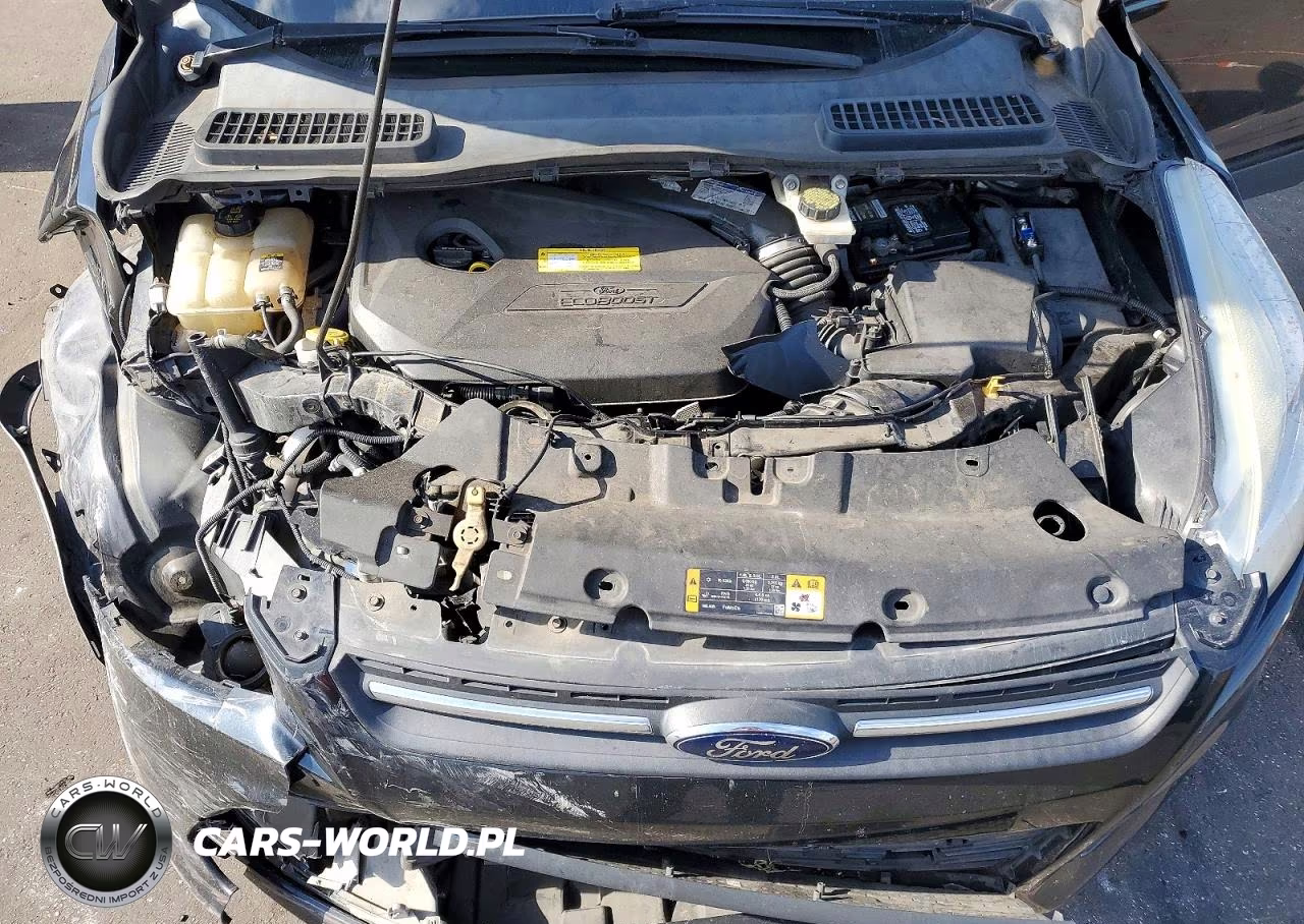 2013 Ford Escape Se VIN:1FMCU9GX6DUA42658 - 12