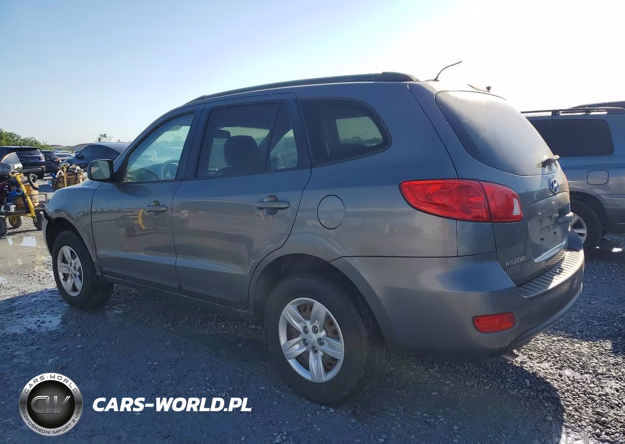 2009 Hyundai Santa Fe Gls VIN:5NMSG13D49H271424 - 2