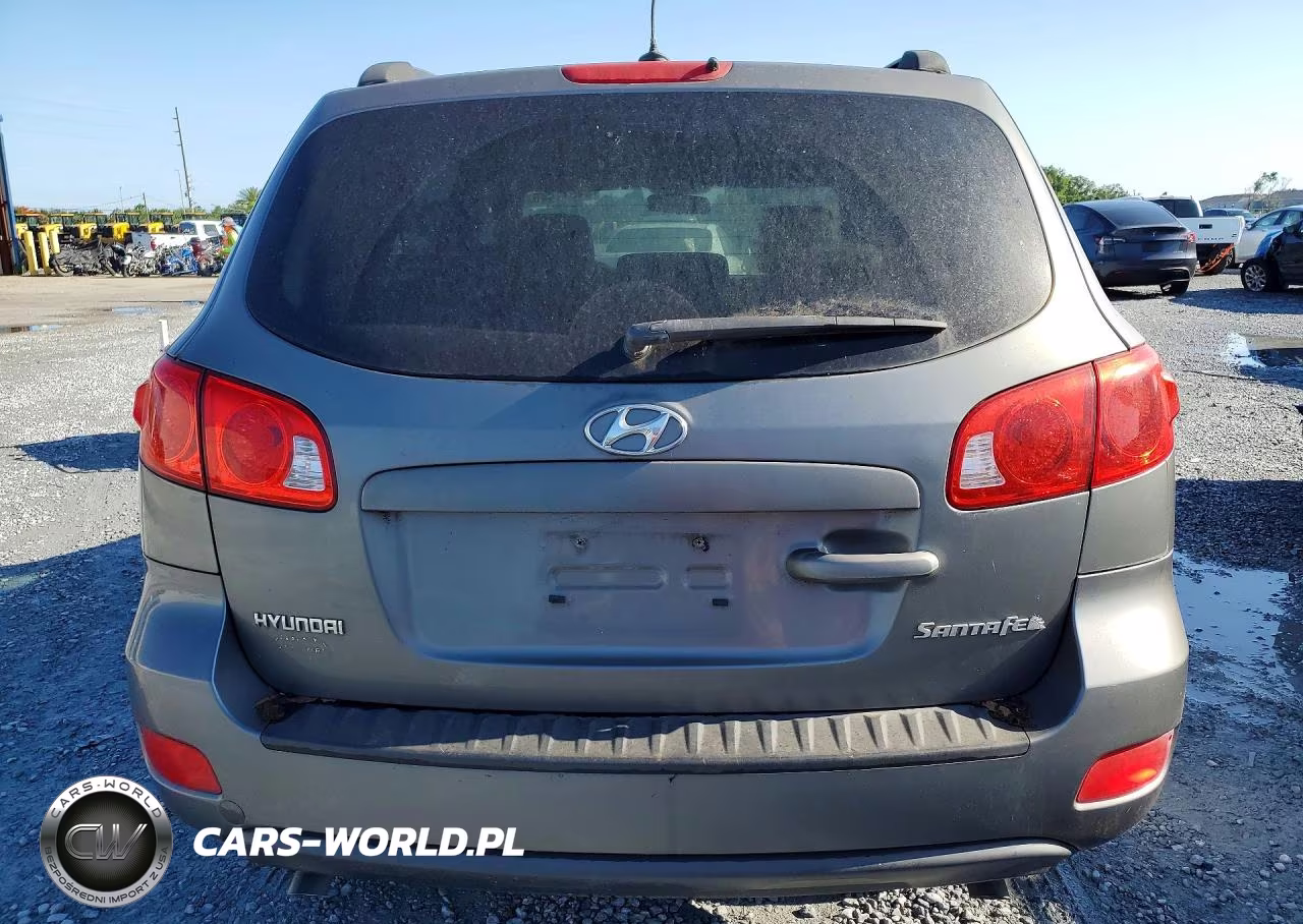 2009 Hyundai Santa Fe Gls VIN:5NMSG13D49H271424 - 6