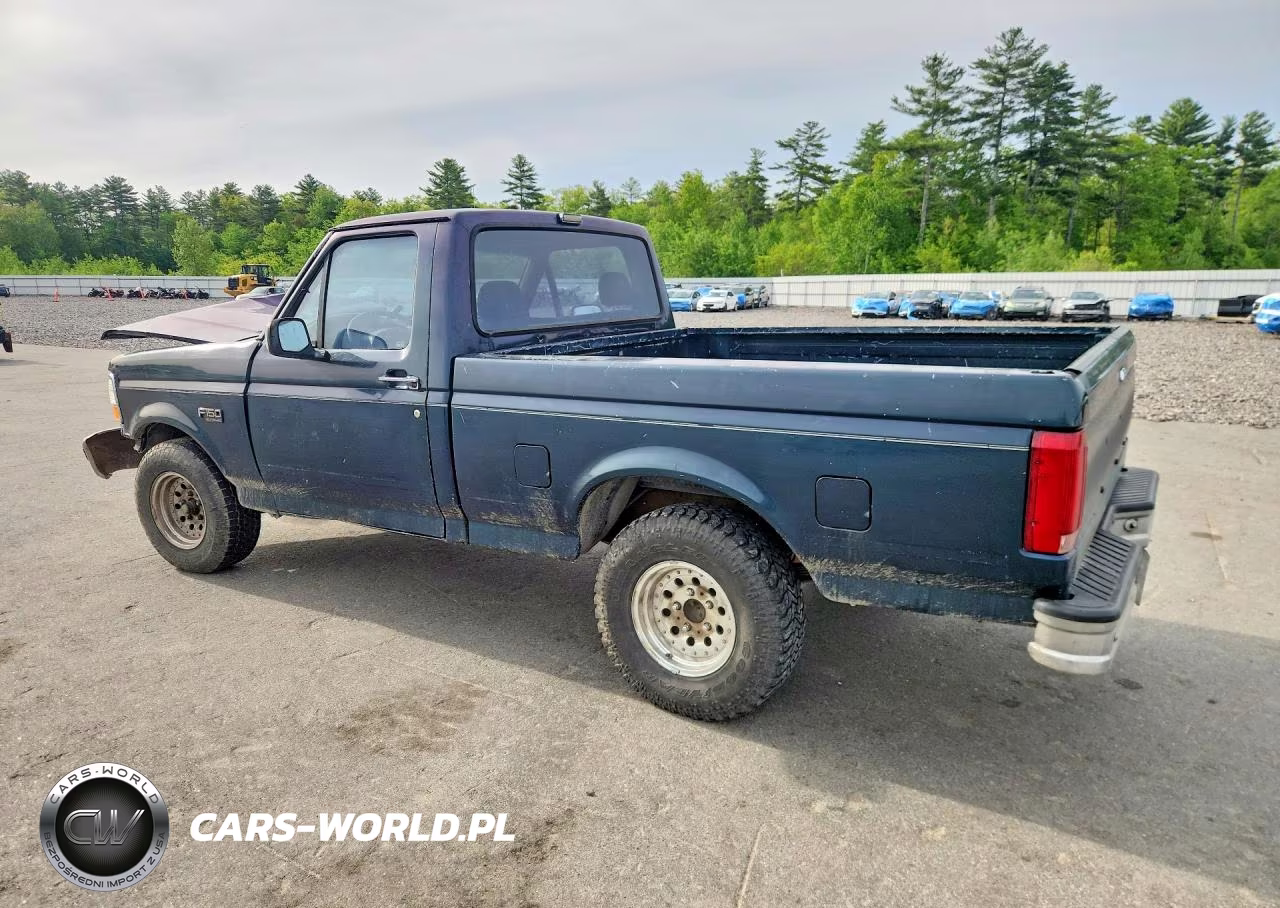 1993 Ford F150 VIN:1FTDF15N6PNA65541 - 2