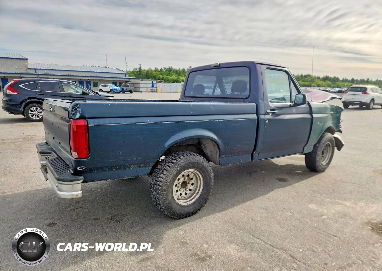 1993 Ford F150 VIN:1FTDF15N6PNA65541 - 3