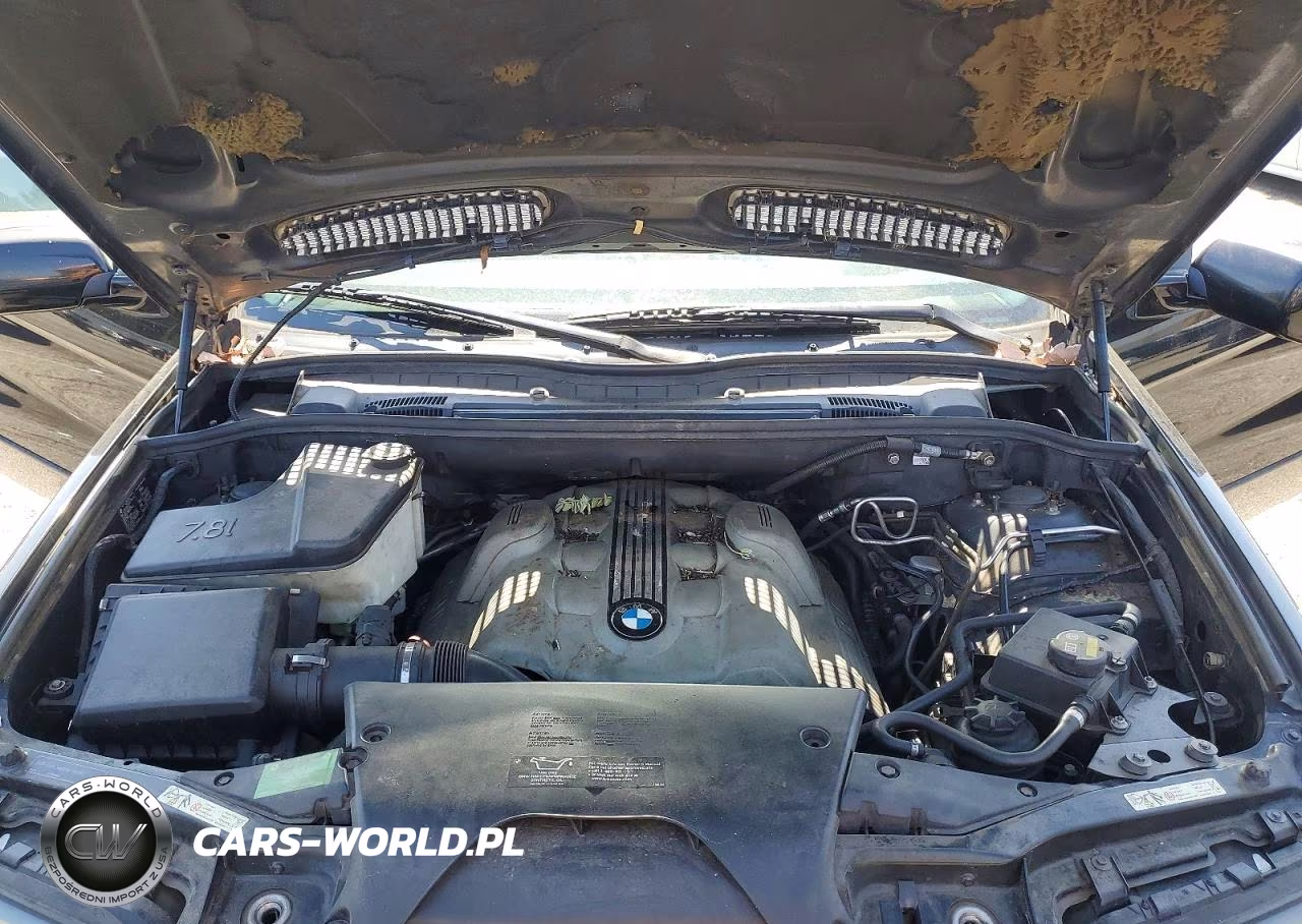 2004 BMW X5 4.8Is VIN:5UXFA93574LE81521 - 12