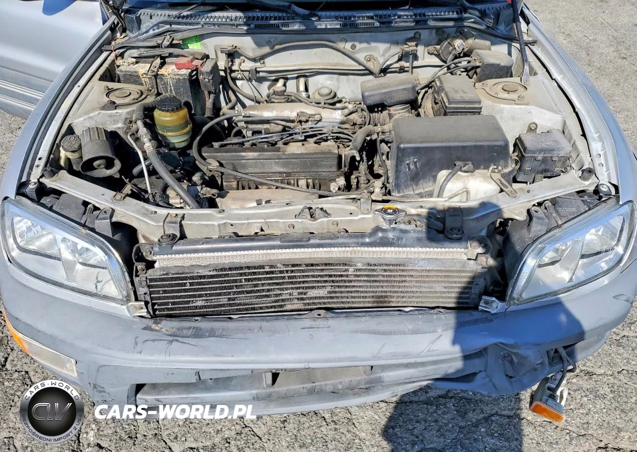 1998 Toyt Rav4 VIN:JT3GP10V3W7037592 - 12