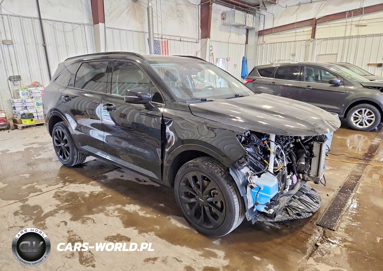 2022 Kia Sorento Sx VIN:5XYRKDLF3NG142336 - 4