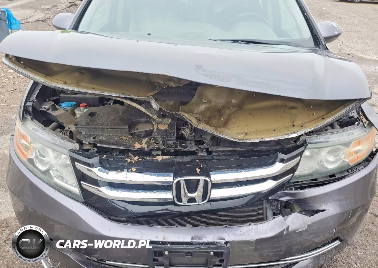 2014 Honda Odyssey Exl VIN:5FNRL5H68EB123462 - 12