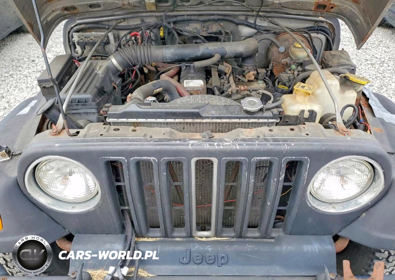 2000 Jeep Wrangler - Tj Sport VIN:1J4FA49S2YP754758 - 11