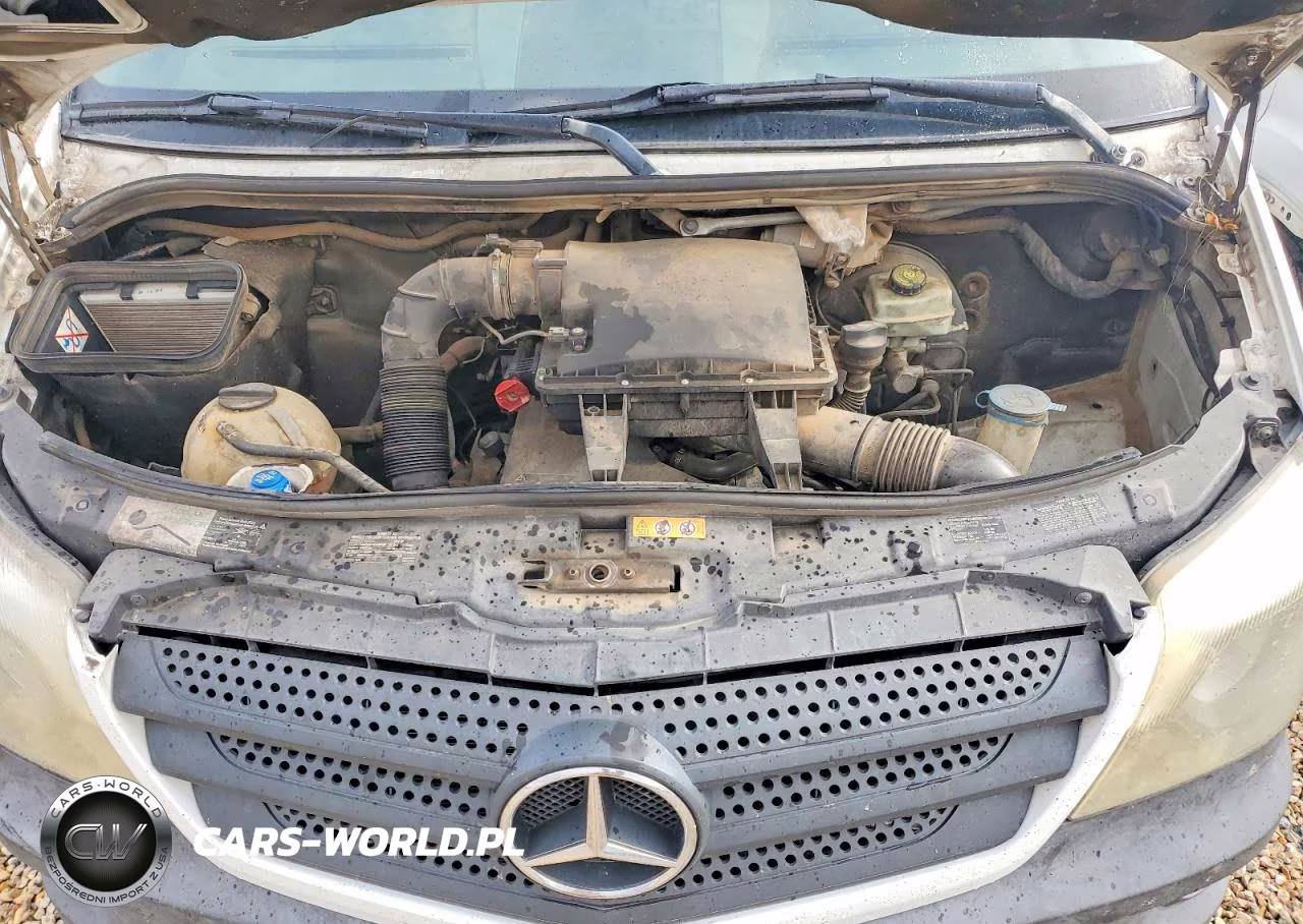 2014 Mercedes Benz Sprinter 2500 Delivery Van VIN:WD3PE8DE5E5901163 - 12