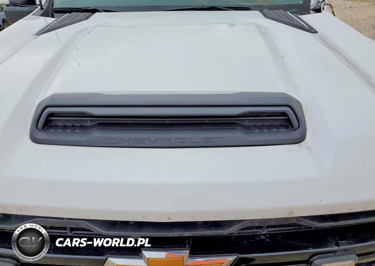 2024 Chevrolet Silverado K2500 Heavy Duty VIN:1GC1YLE76RF246789 - 12