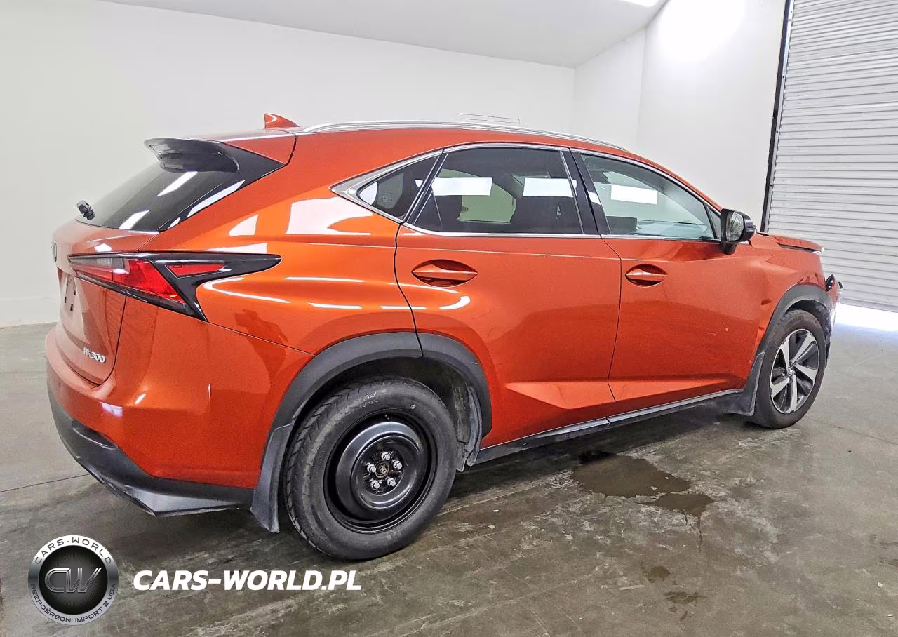 2021 Lexus Nx 300 Base VIN:JTJGARDZ6M2259723 - 3