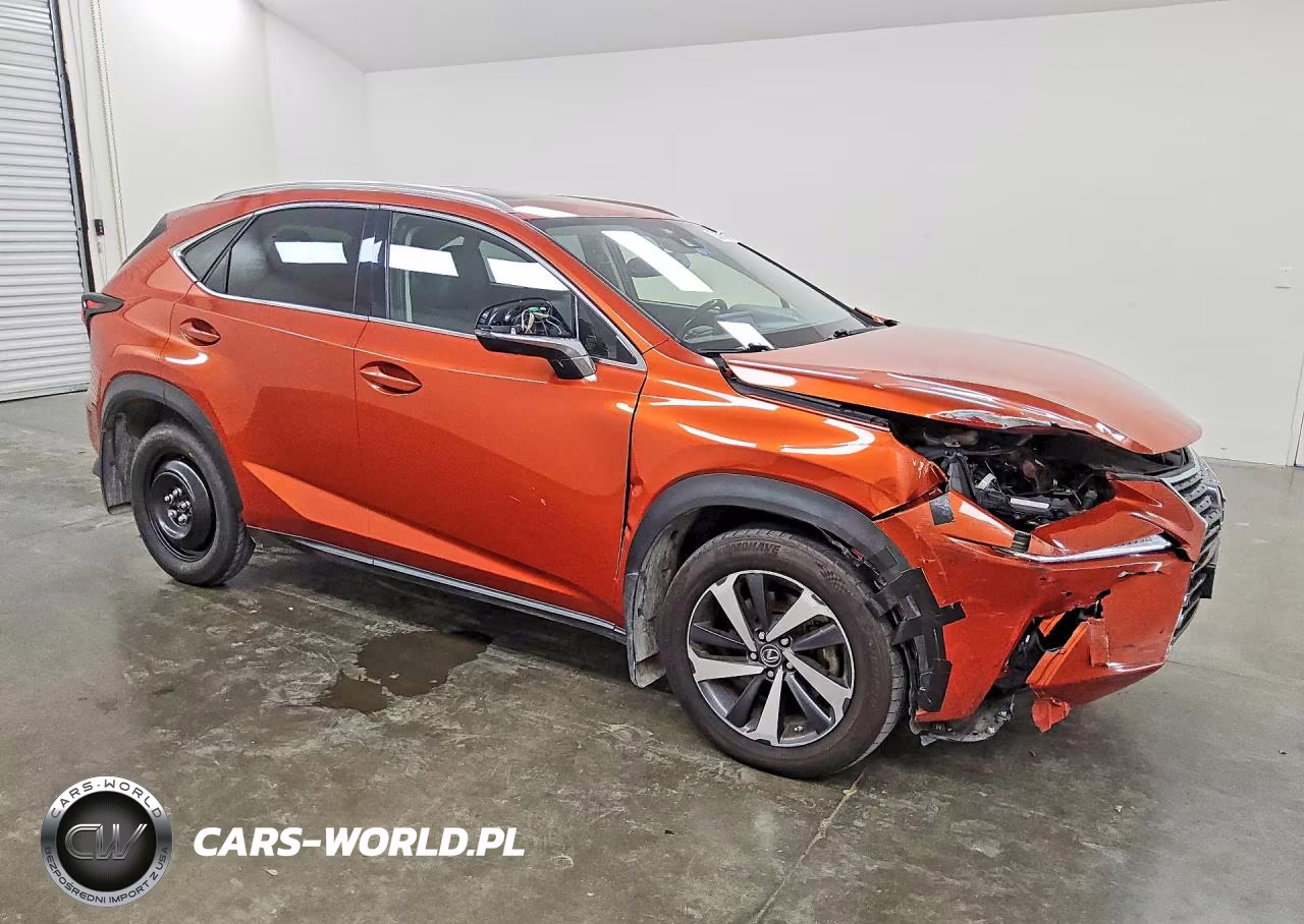 2021 Lexus Nx 300 Base VIN:JTJGARDZ6M2259723 - 4