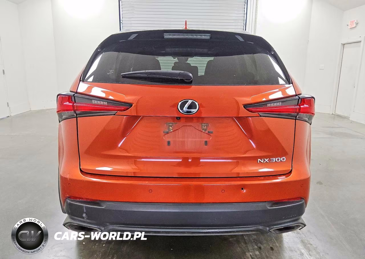 2021 Lexus Nx 300 Base VIN:JTJGARDZ6M2259723 - 6
