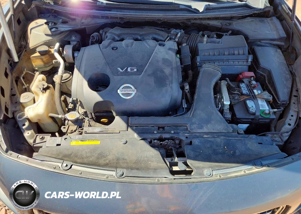 2010 Nissan Maxima 3.5 S VIN:1N4AA5APXAC875313 - 11