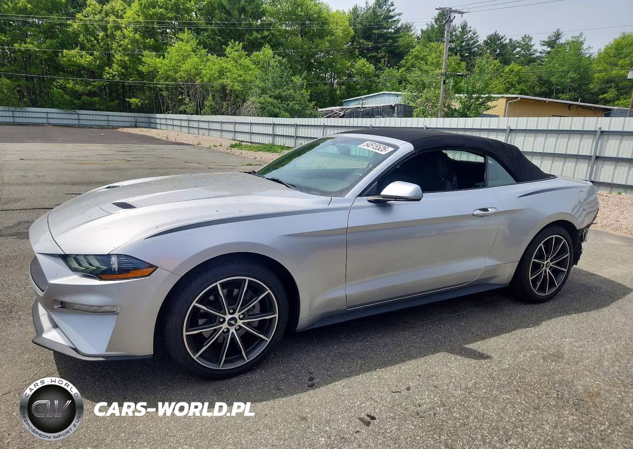2019 Ford Mustang