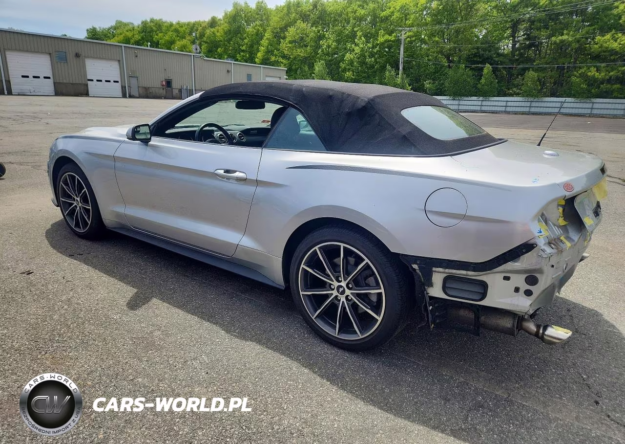 2019 Ford Mustang VIN:1FATP8UH1K5205197 - 2