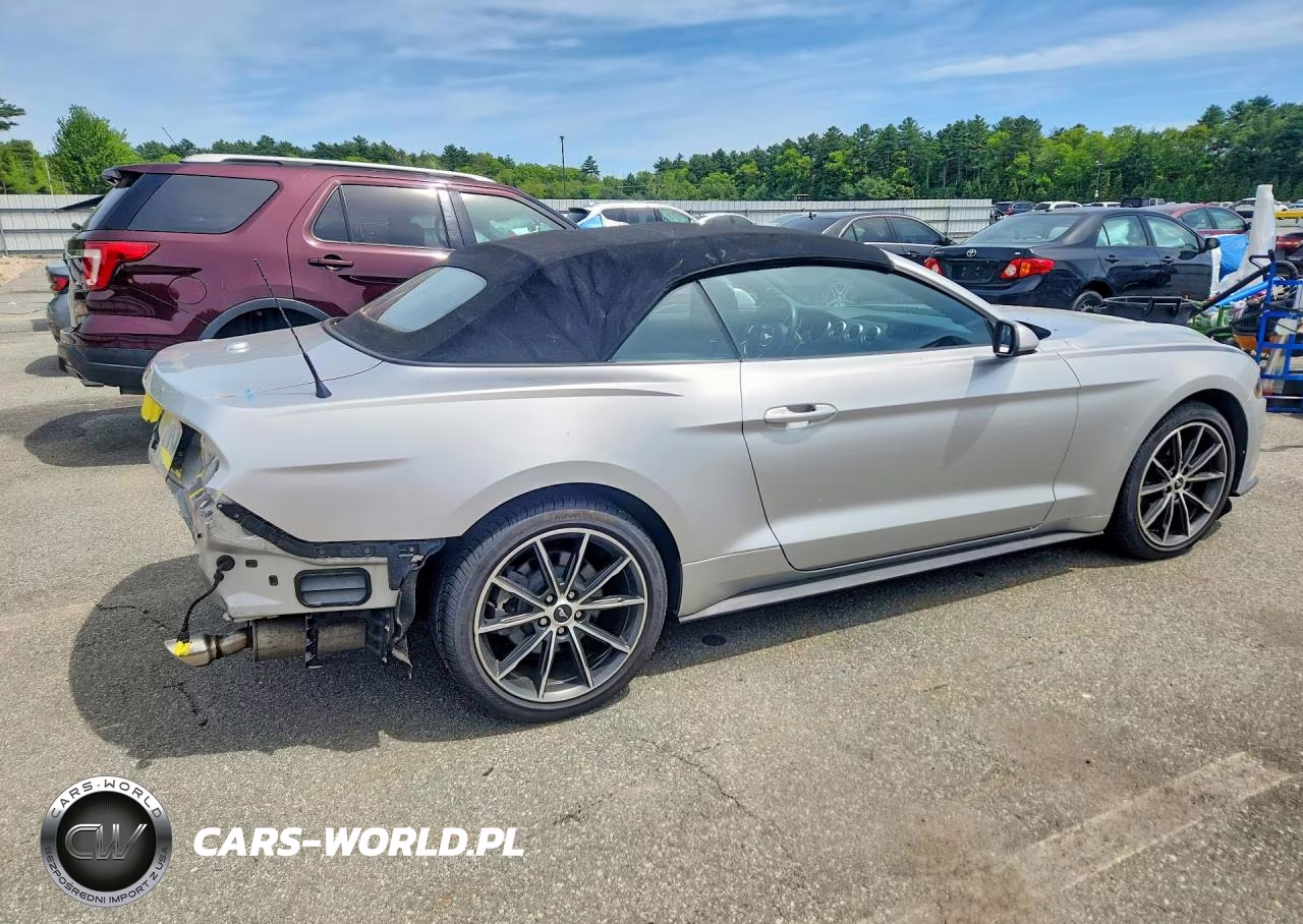2019 Ford Mustang VIN:1FATP8UH1K5205197 - 3