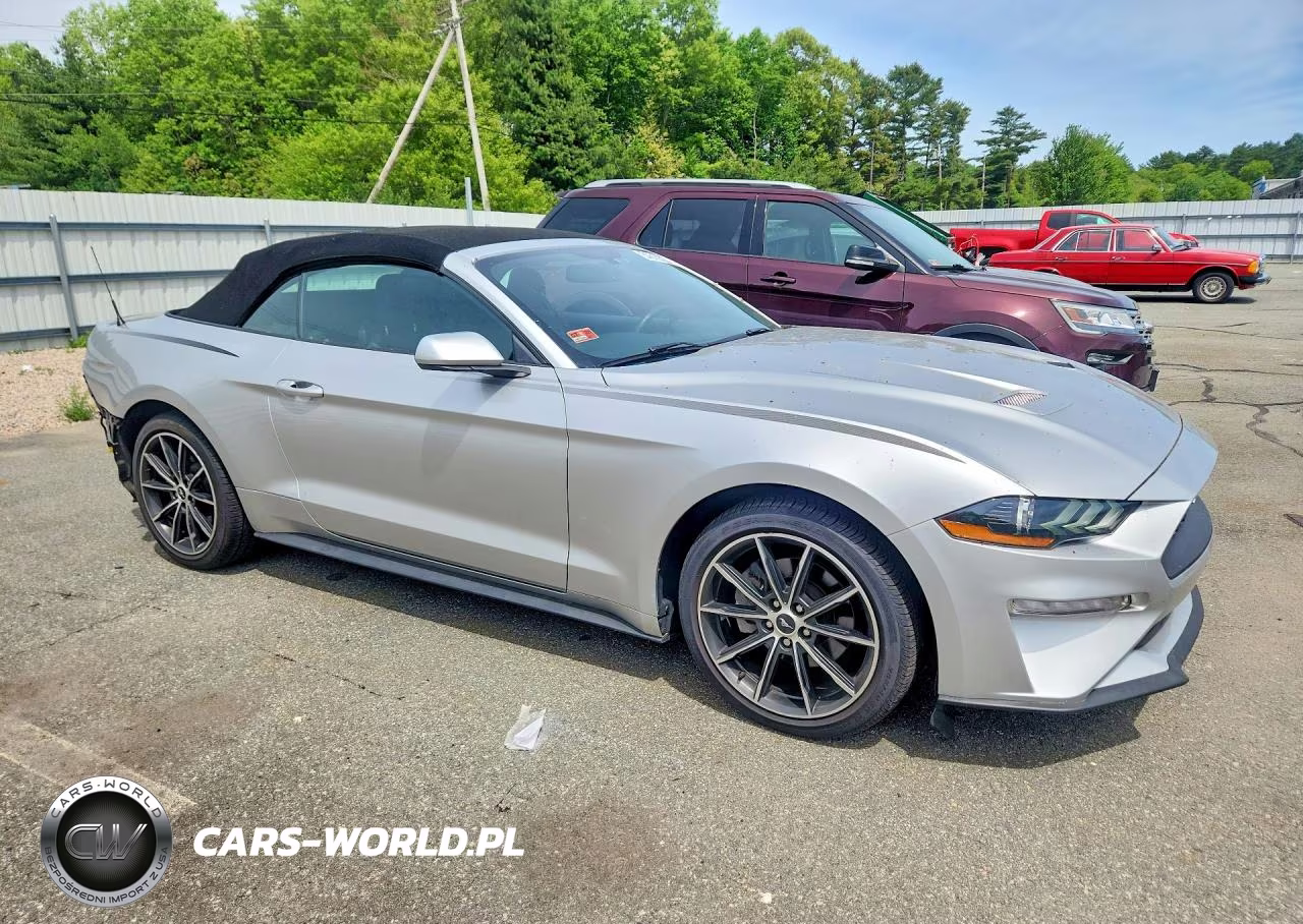 2019 Ford Mustang VIN:1FATP8UH1K5205197 - 4