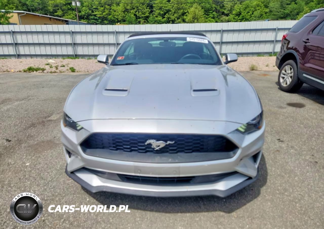 2019 Ford Mustang VIN:1FATP8UH1K5205197 - 5