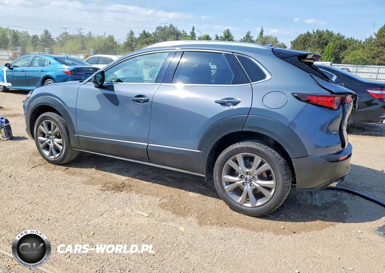 2021 Mazda Cx-30 Premium VIN:3MVDMBDL4MM202217 - 2