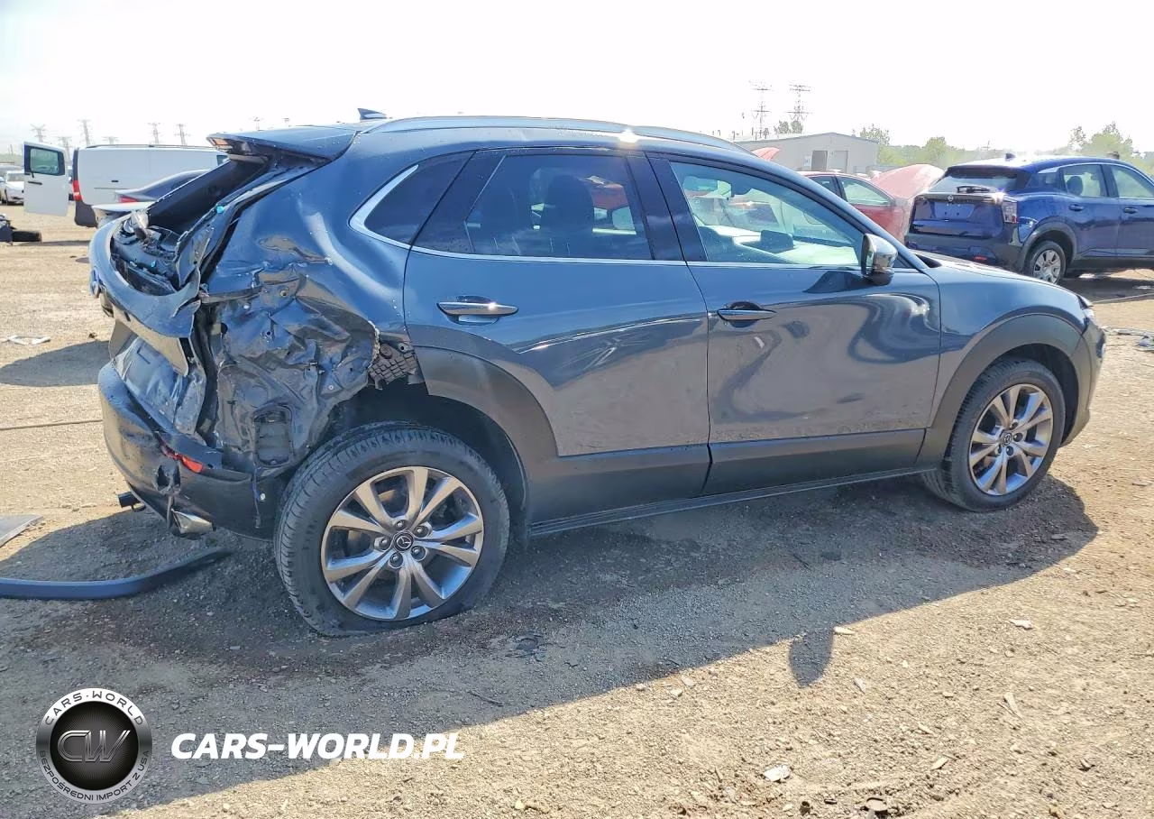 2021 Mazda Cx-30 Premium VIN:3MVDMBDL4MM202217 - 3