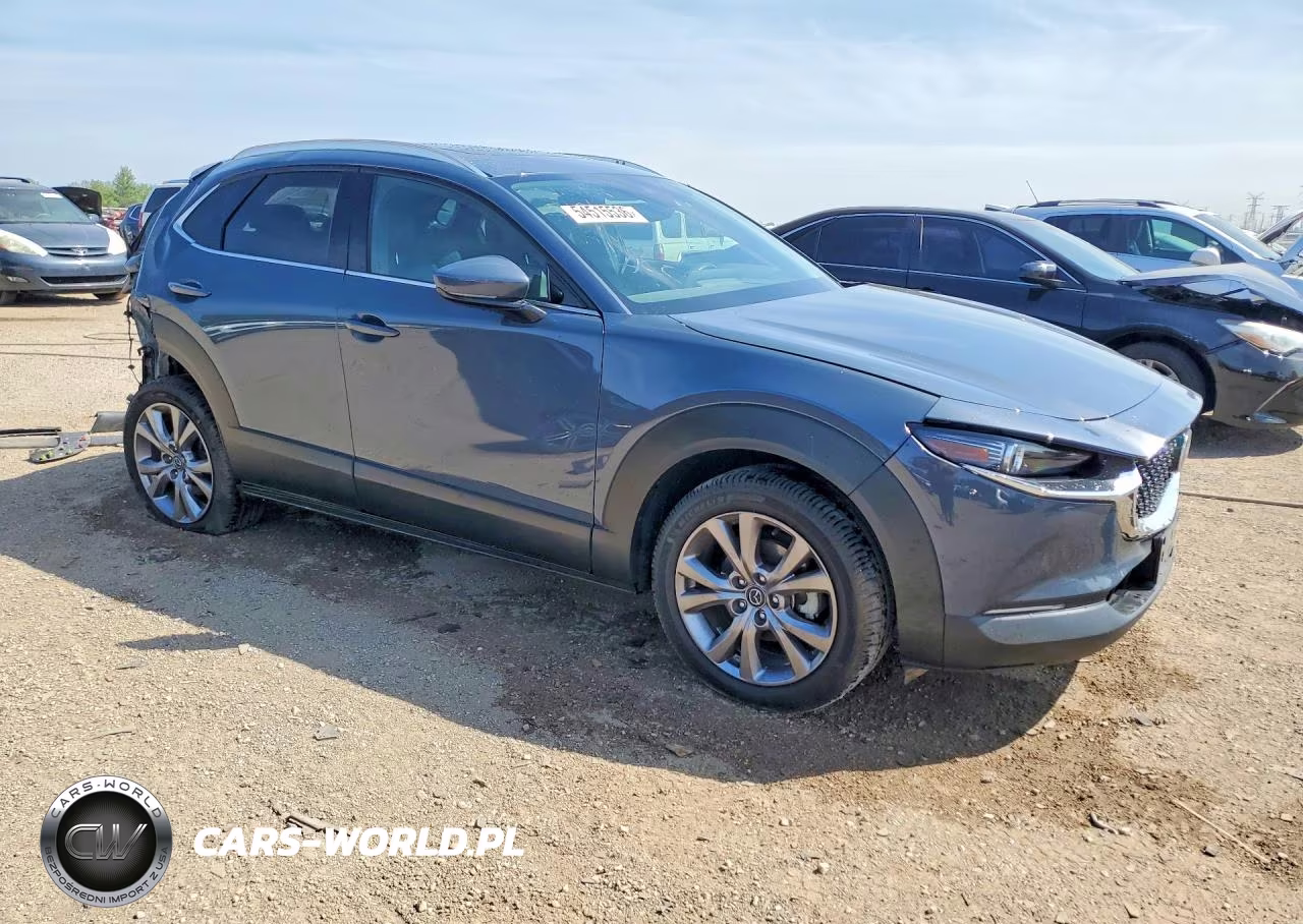 2021 Mazda Cx-30 Premium VIN:3MVDMBDL4MM202217 - 4