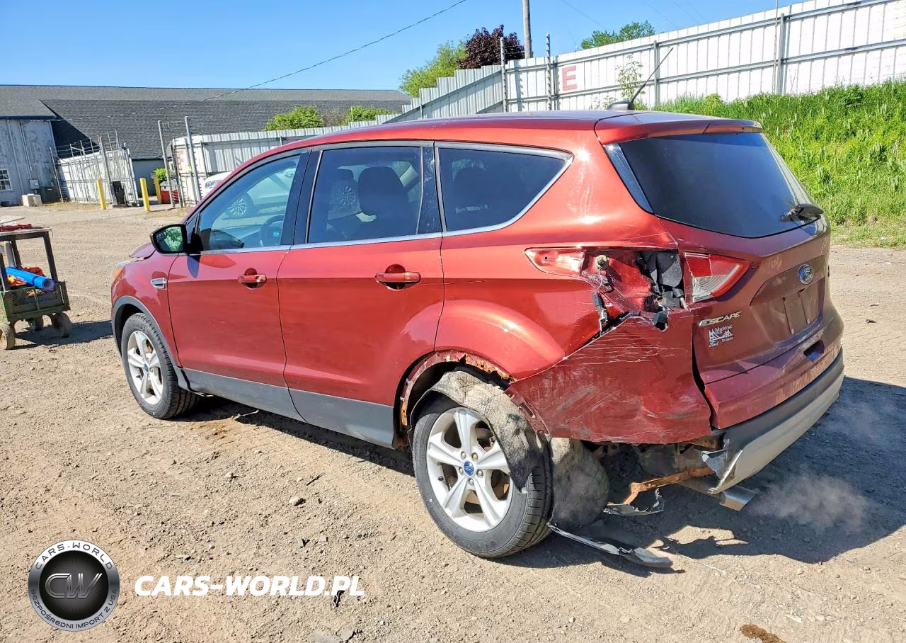2014 FORD ESCAPE SE VIN:1FMCU9G90EUD54378 - 2