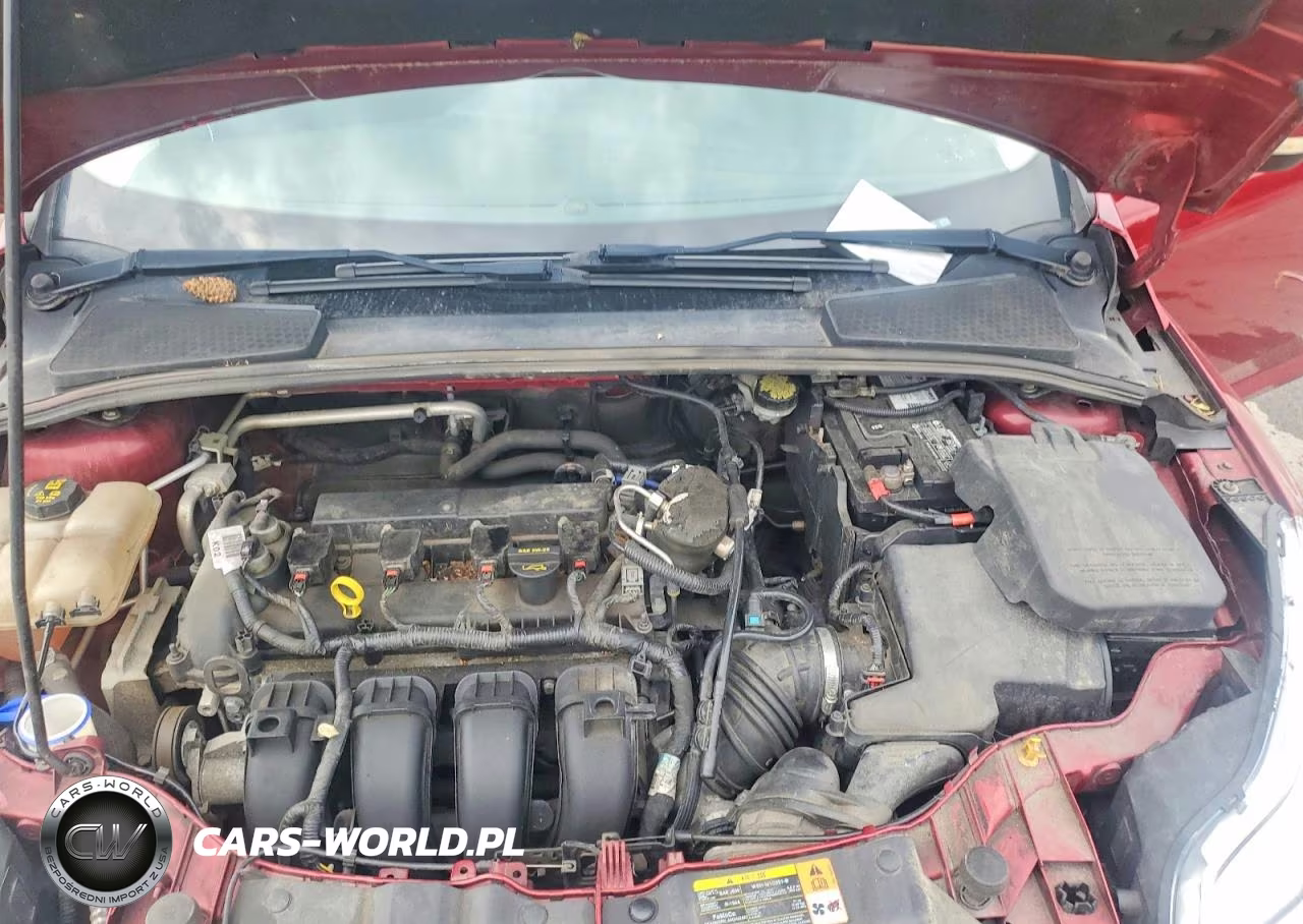 2014 Ford Focus Se VIN:1FADP3F20EL243522 - 11