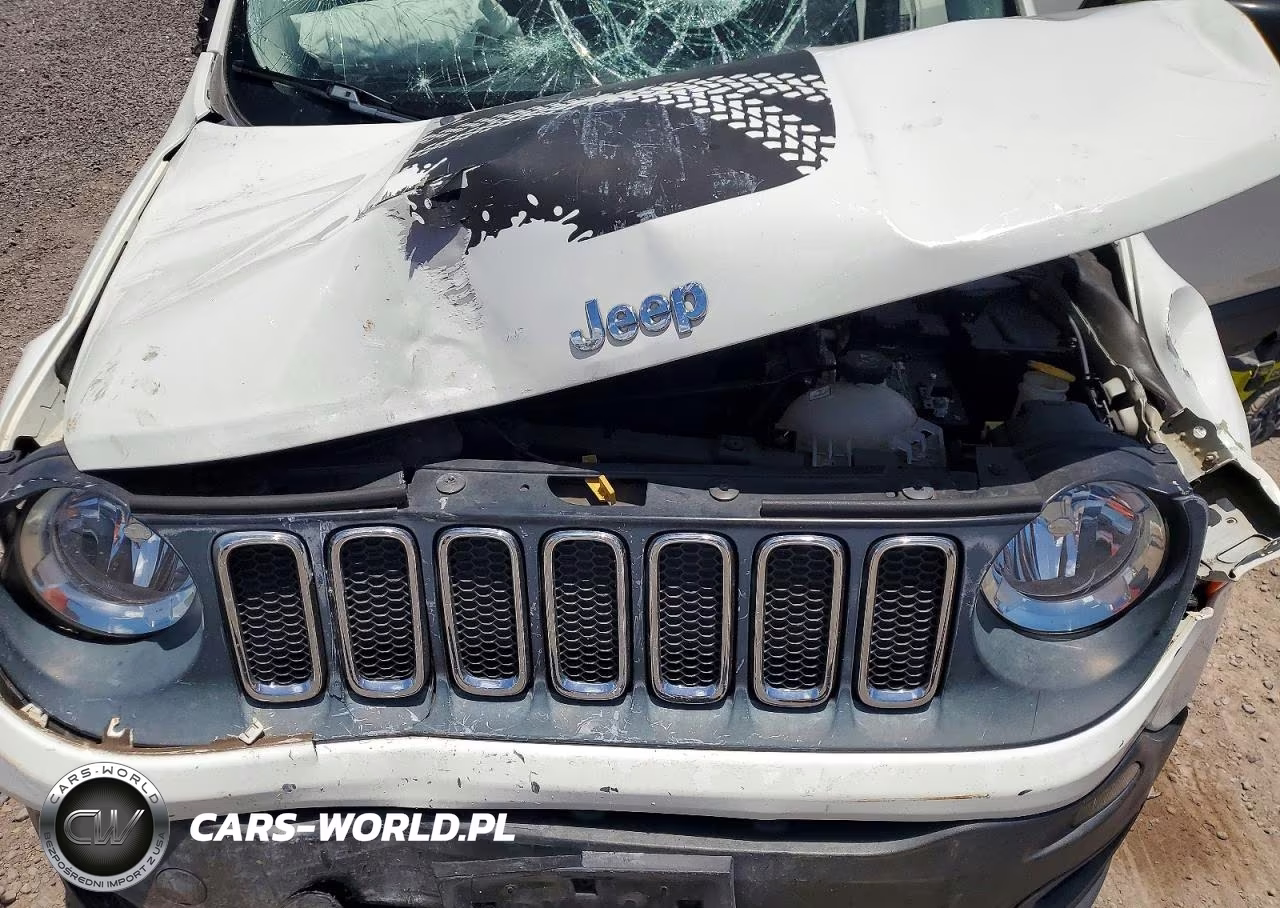 2017 Jeep Renegade Sport VIN:ZACCJAAB1HPE45109 - 12