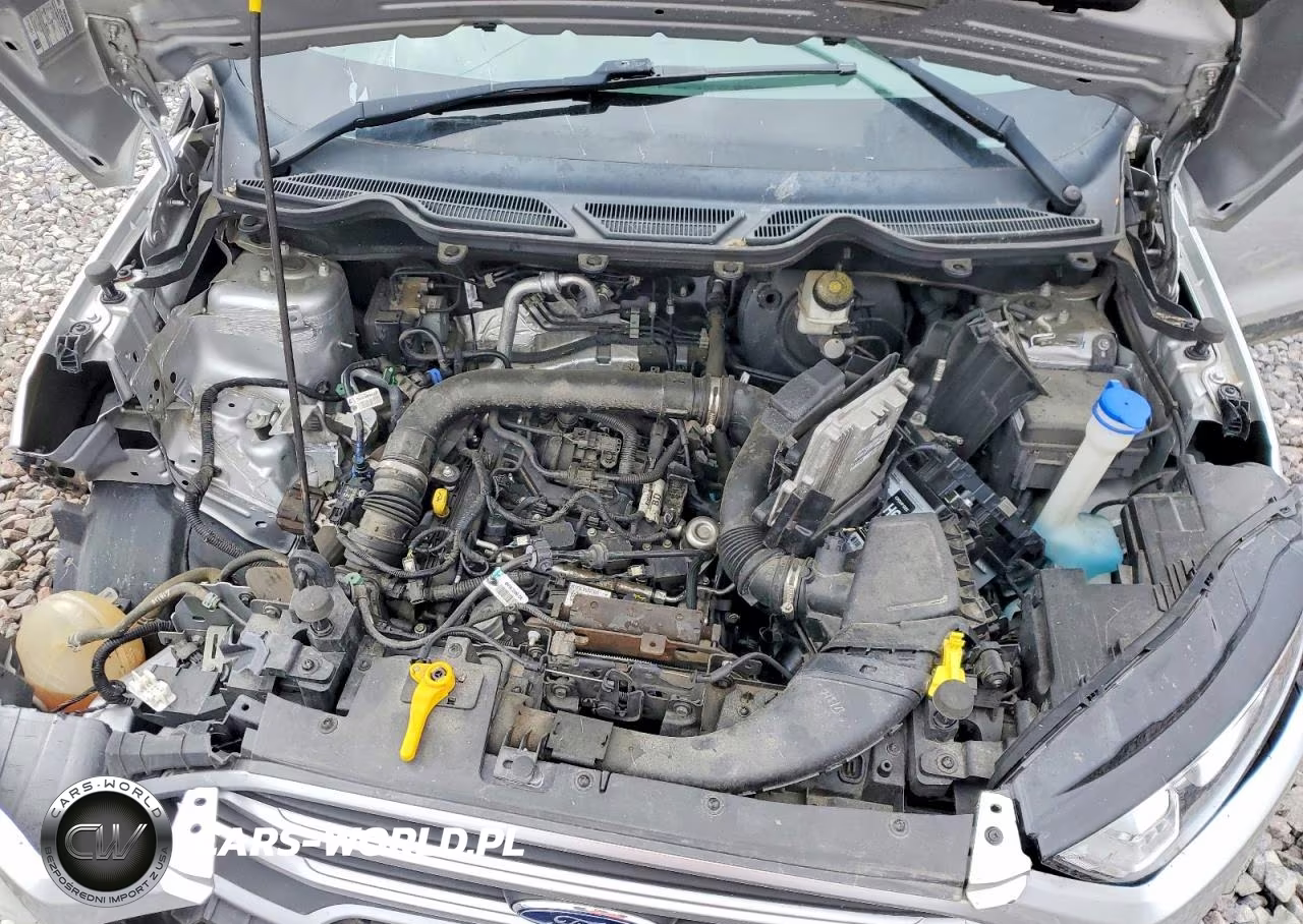 2020 Ford Ecosport Se VIN:MAJ3S2GE6LC391197 - 11