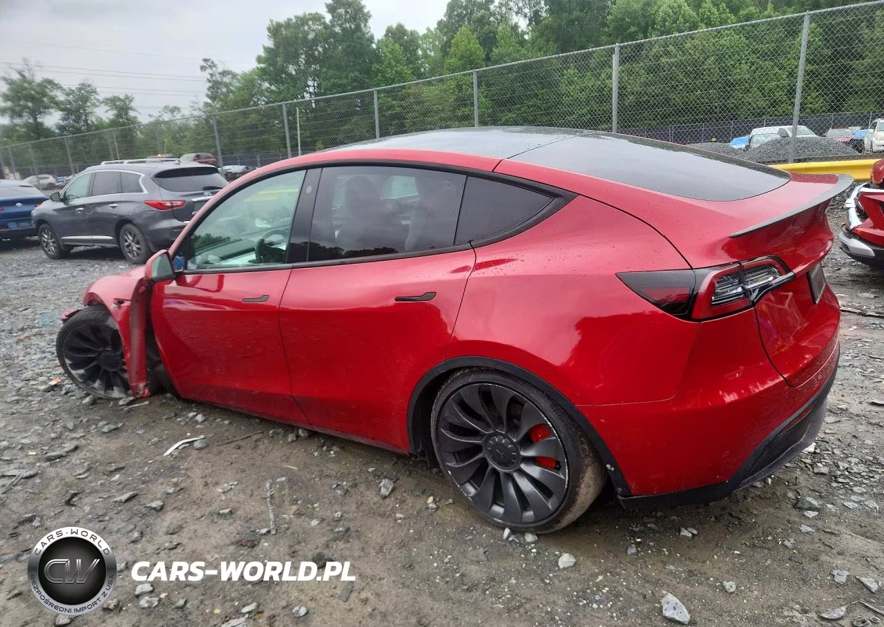 2022 Tesla Model Y VIN:7SAYGDEF8NF546365 - 2