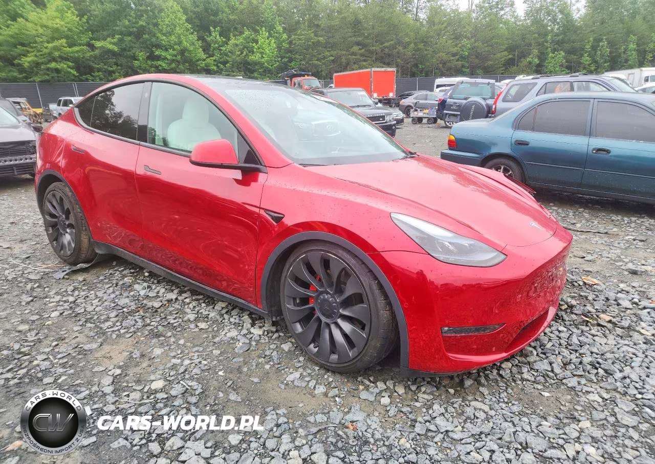2022 Tesla Model Y VIN:7SAYGDEF8NF546365 - 4