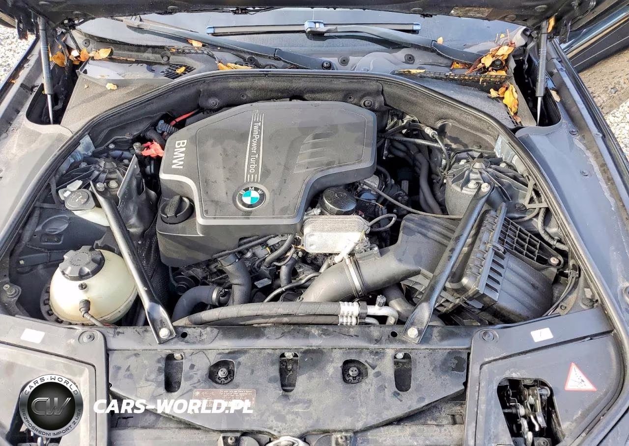 2013 BMW 528 I VIN:WBAXG5C52DD231993 - 11