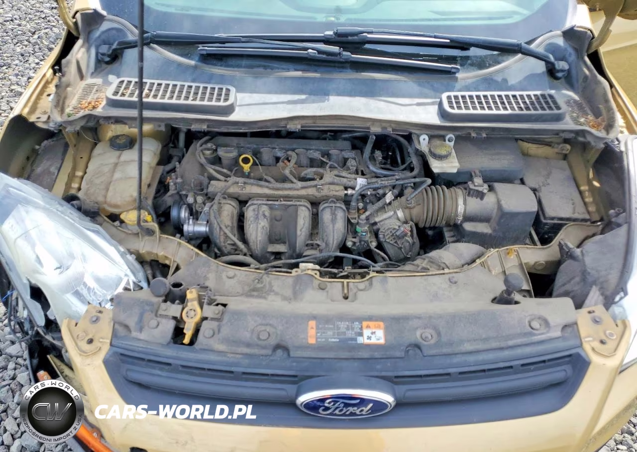 2014 Ford Escape S VIN:1FMCU0F77EUD95070 - 12