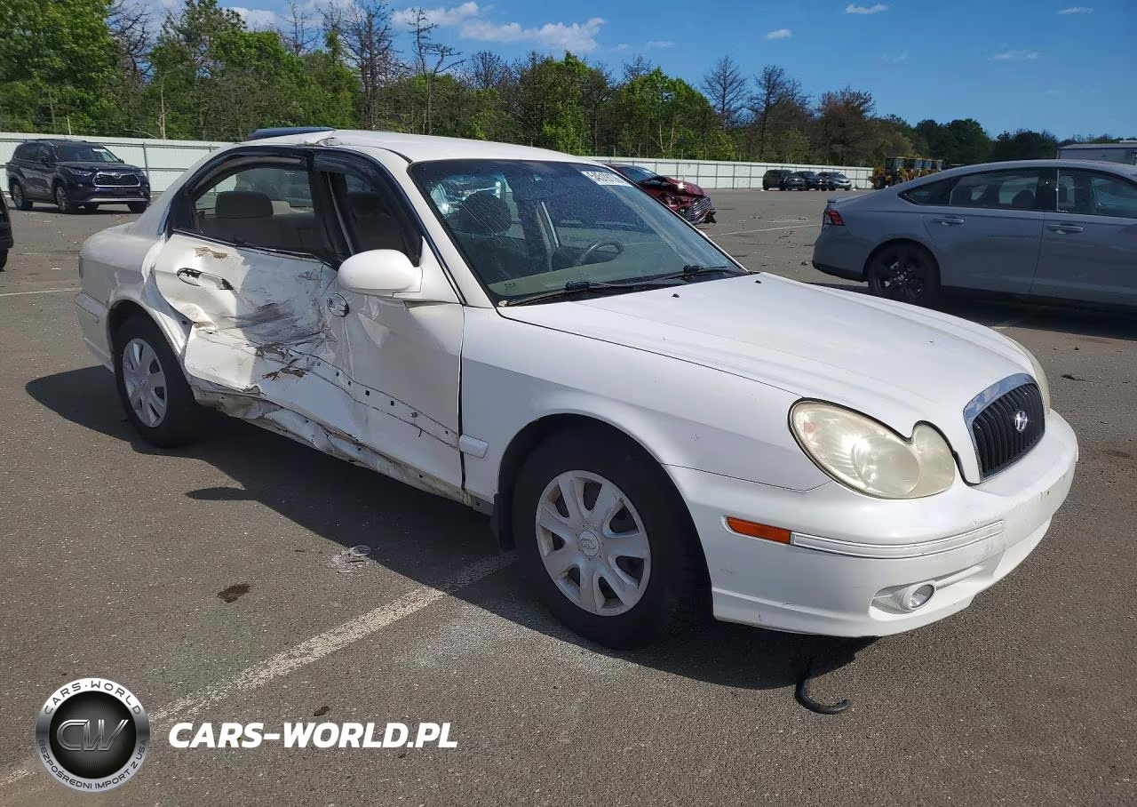 2004 Hyundai Sonata Gl VIN:KMHWF25S94A970875 - 4