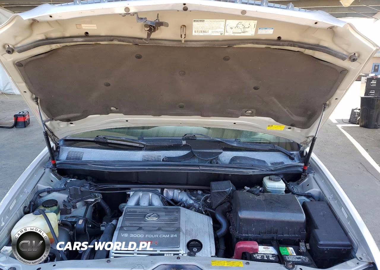 2002 Lexus Rx 300 VIN:JTJGF10U320143157 - 11