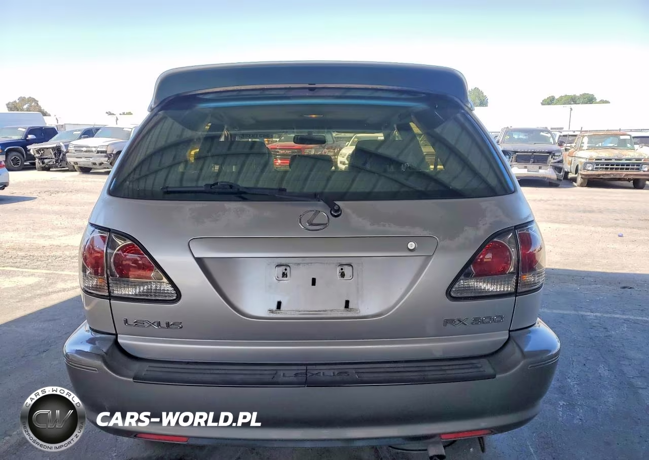 2002 Lexus Rx 300 VIN:JTJGF10U320143157 - 6