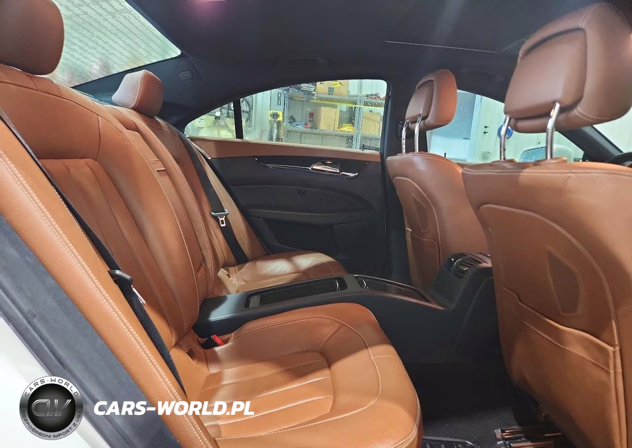 2015 Mercedes-Benz Cls 400 VIN:WDDLJ6FB3FA151459 - 10
