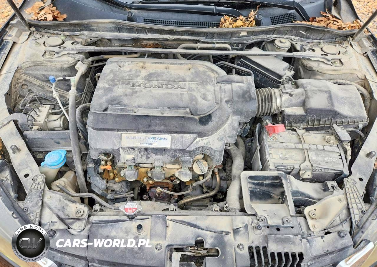 2014 Honda Accord Exl VIN:1HGCR3F82EA015586 - 11