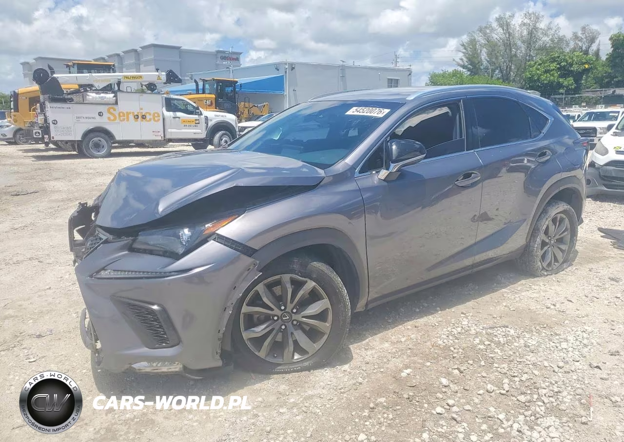 2019 Lexus Nx 300 F Sport