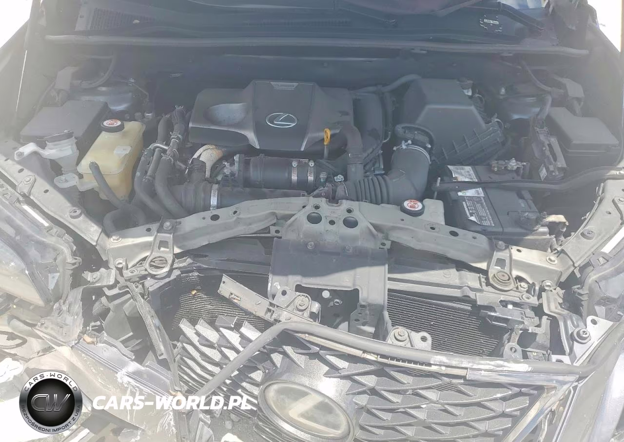 2019 Lexus Nx 300 F Sport VIN:JTJYARBZ0K2147746 - 12