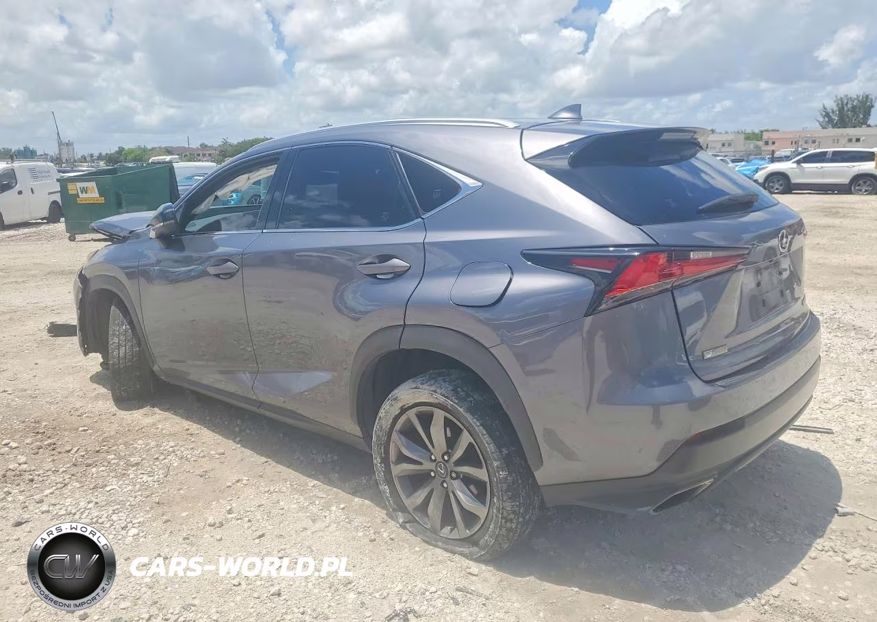 2019 Lexus Nx 300 F Sport VIN:JTJYARBZ0K2147746 - 2