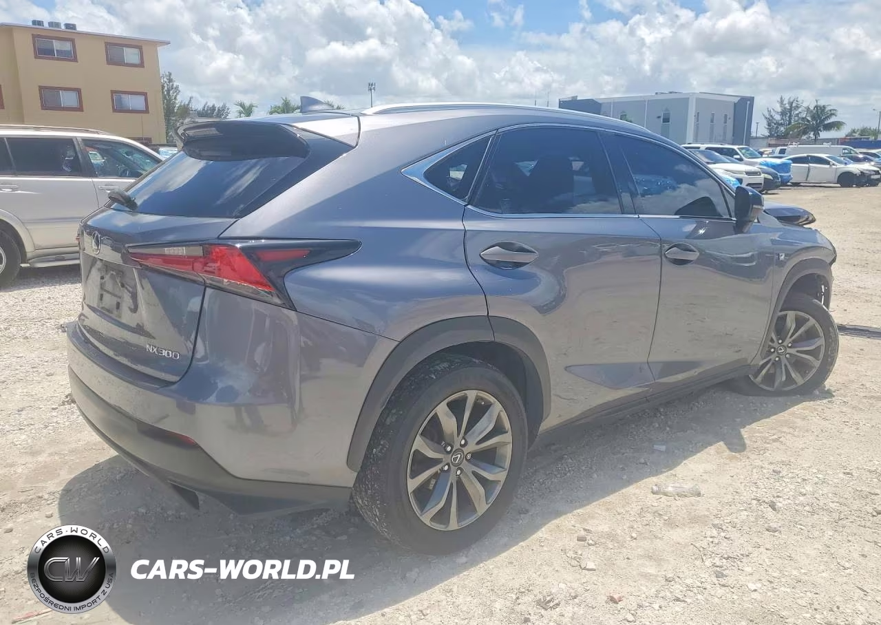 2019 Lexus Nx 300 F Sport VIN:JTJYARBZ0K2147746 - 3