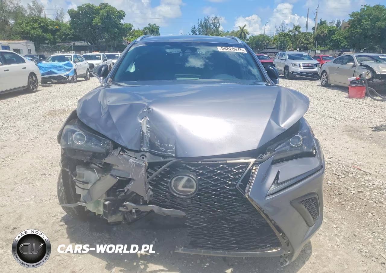 2019 Lexus Nx 300 F Sport VIN:JTJYARBZ0K2147746 - 5