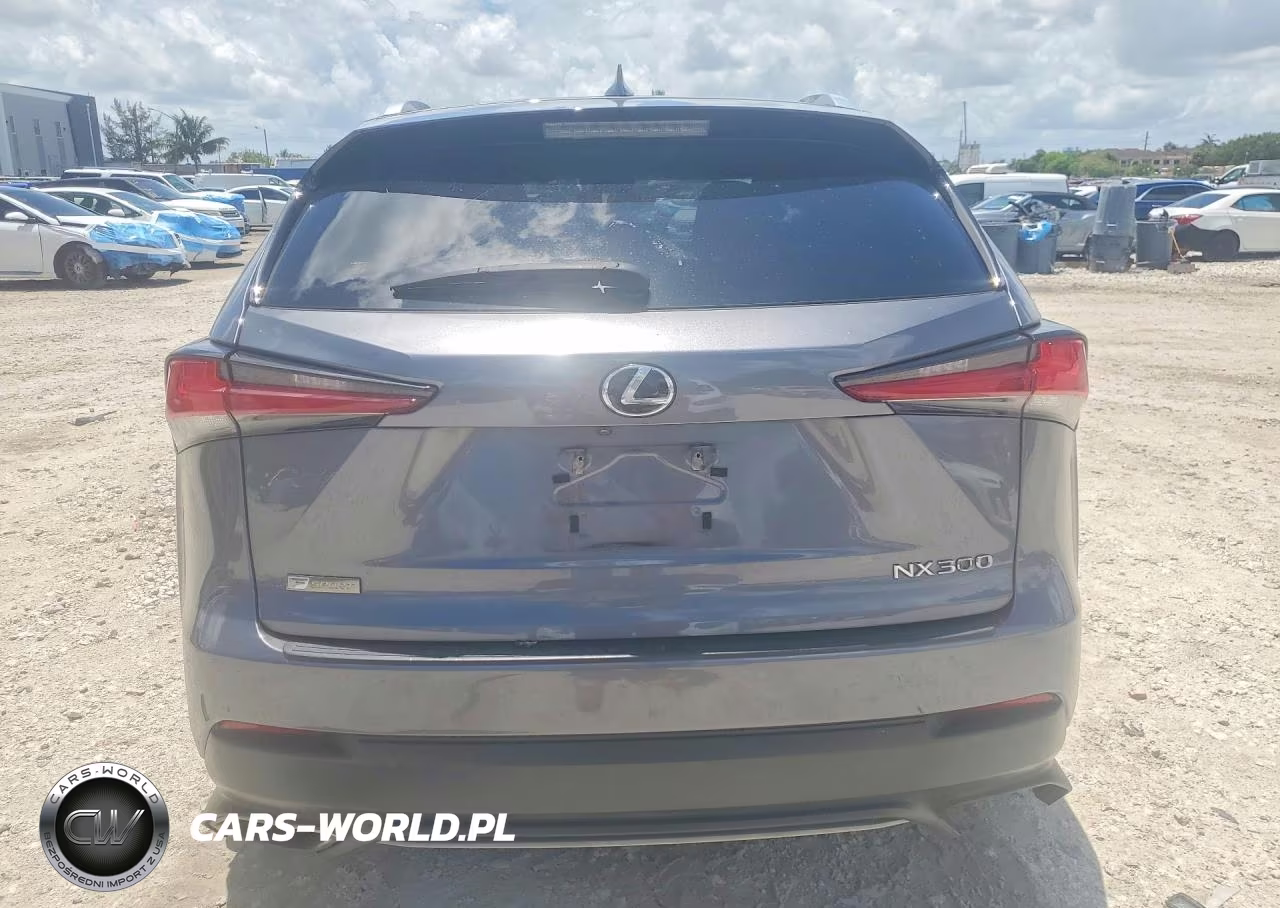 2019 Lexus Nx 300 F Sport VIN:JTJYARBZ0K2147746 - 6