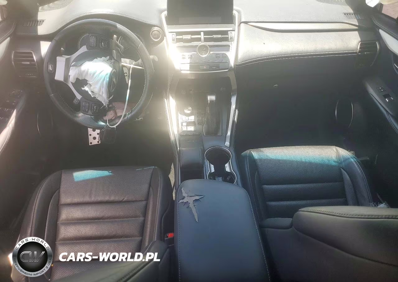 2019 Lexus Nx 300 F Sport VIN:JTJYARBZ0K2147746 - 8