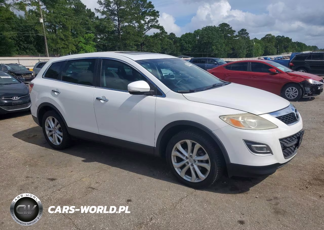 2012 Mazda Cx-9 VIN:JM3TB3DA9C0365459 - 4