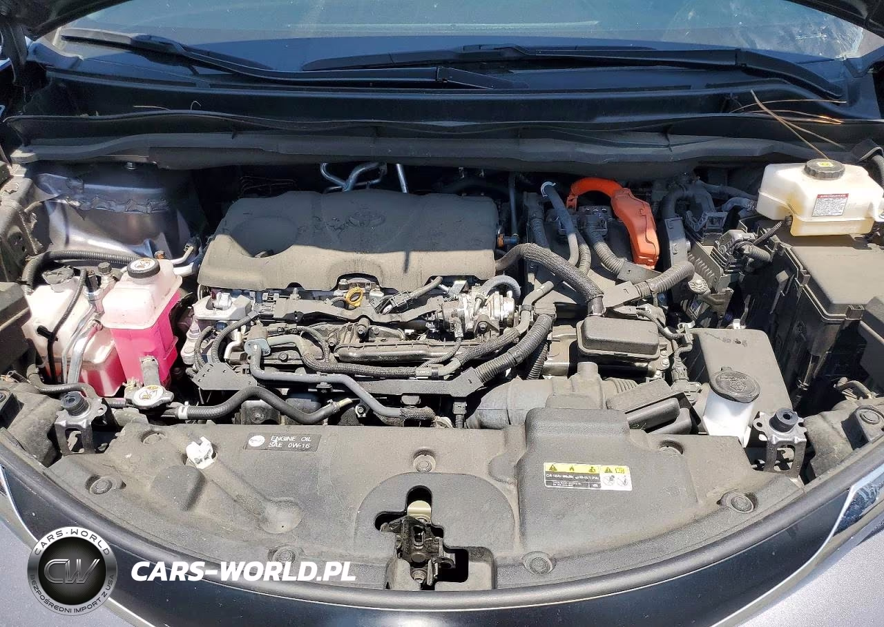 2023 Toyota Sienna Xle VIN:5TDYSKFC4PS079397 - 12