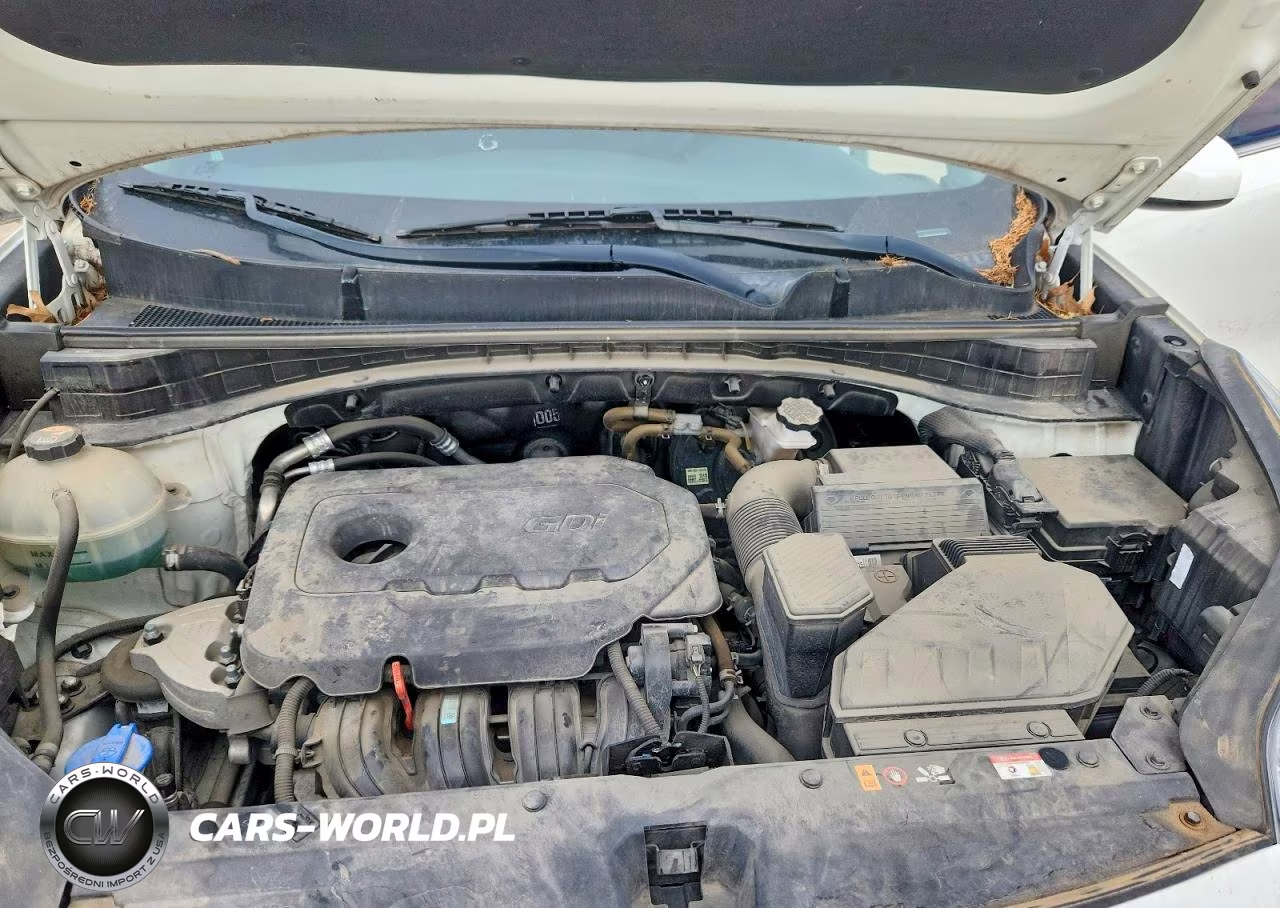 2020 Kia Sportage Lx VIN:KNDPMCAC6L7687090 - 12