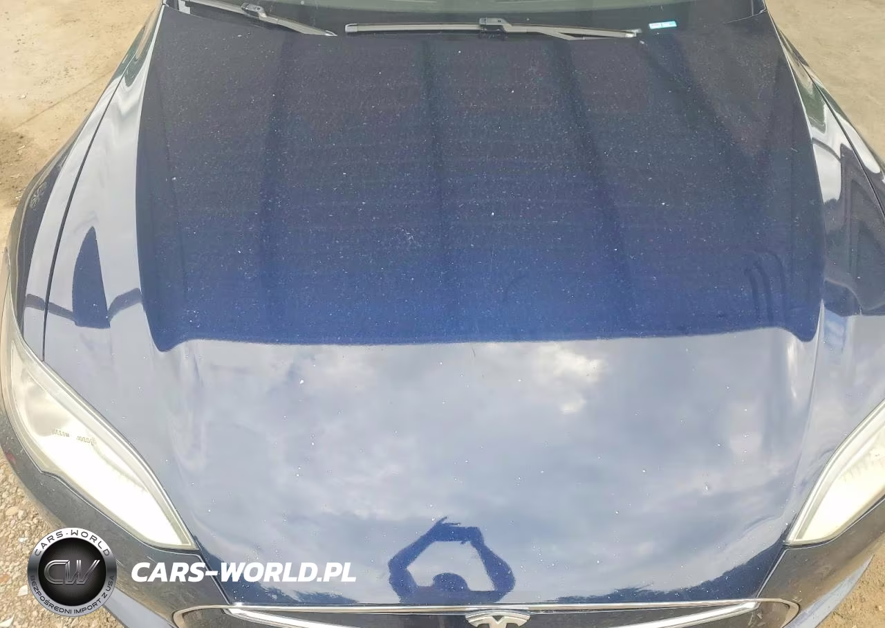 2014 Tesla Model S VIN:5YJSA1H10EFP60852 - 11