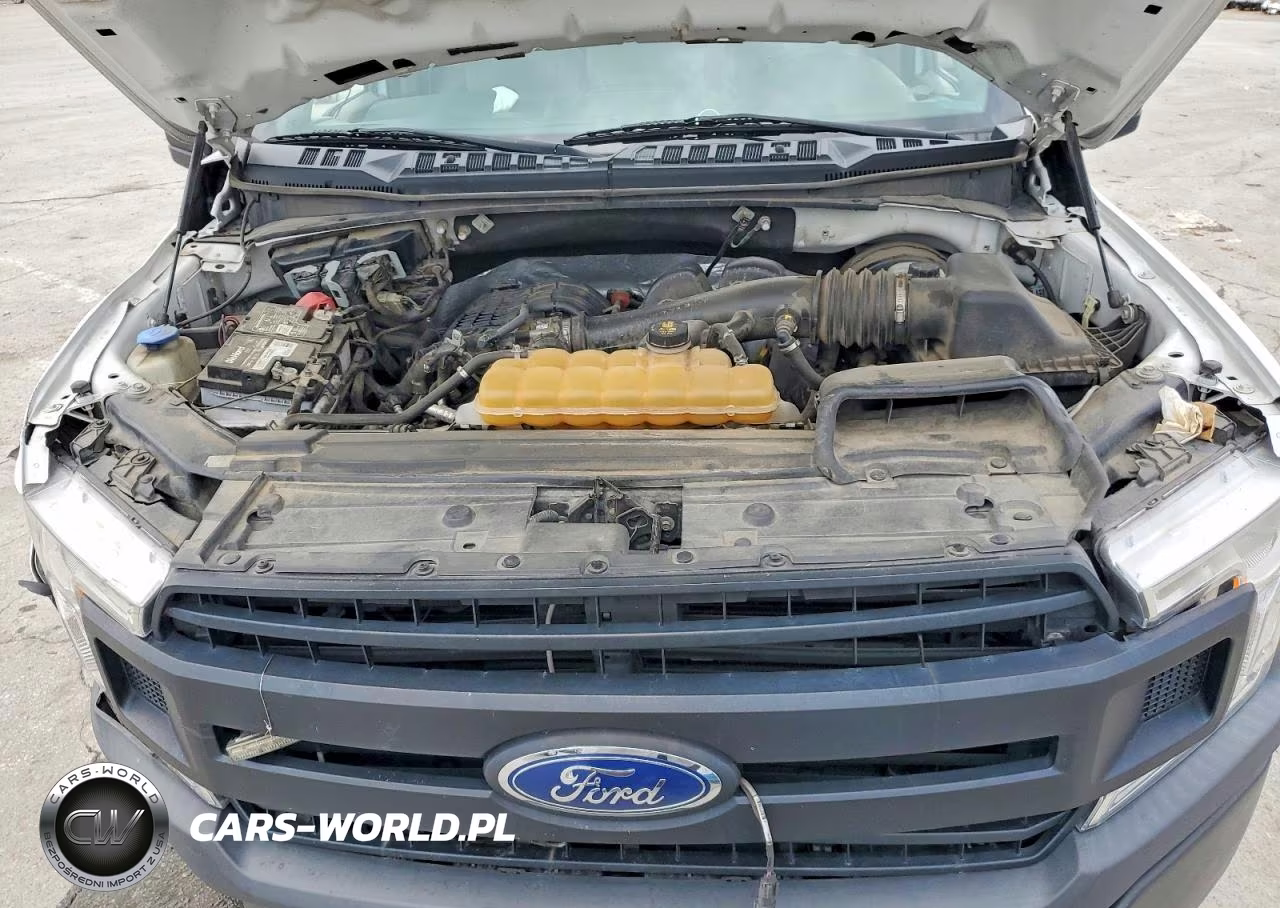 2019 Ford F150 VIN:1FTMF1CB2KKD02092 - 11