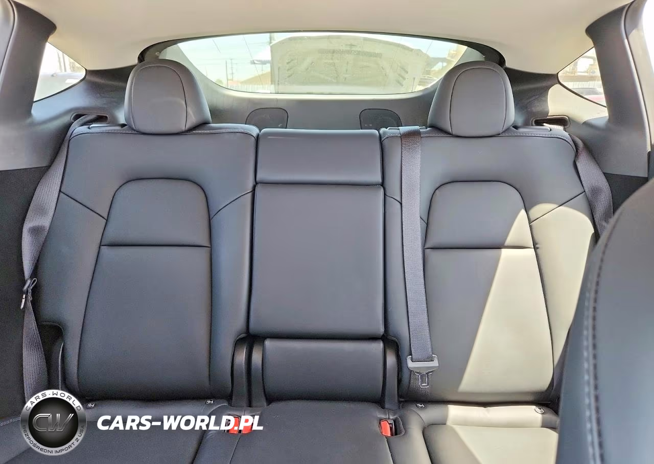 2023 Tesla Model Y VIN:7SAYGDEE6PA151219 - 10